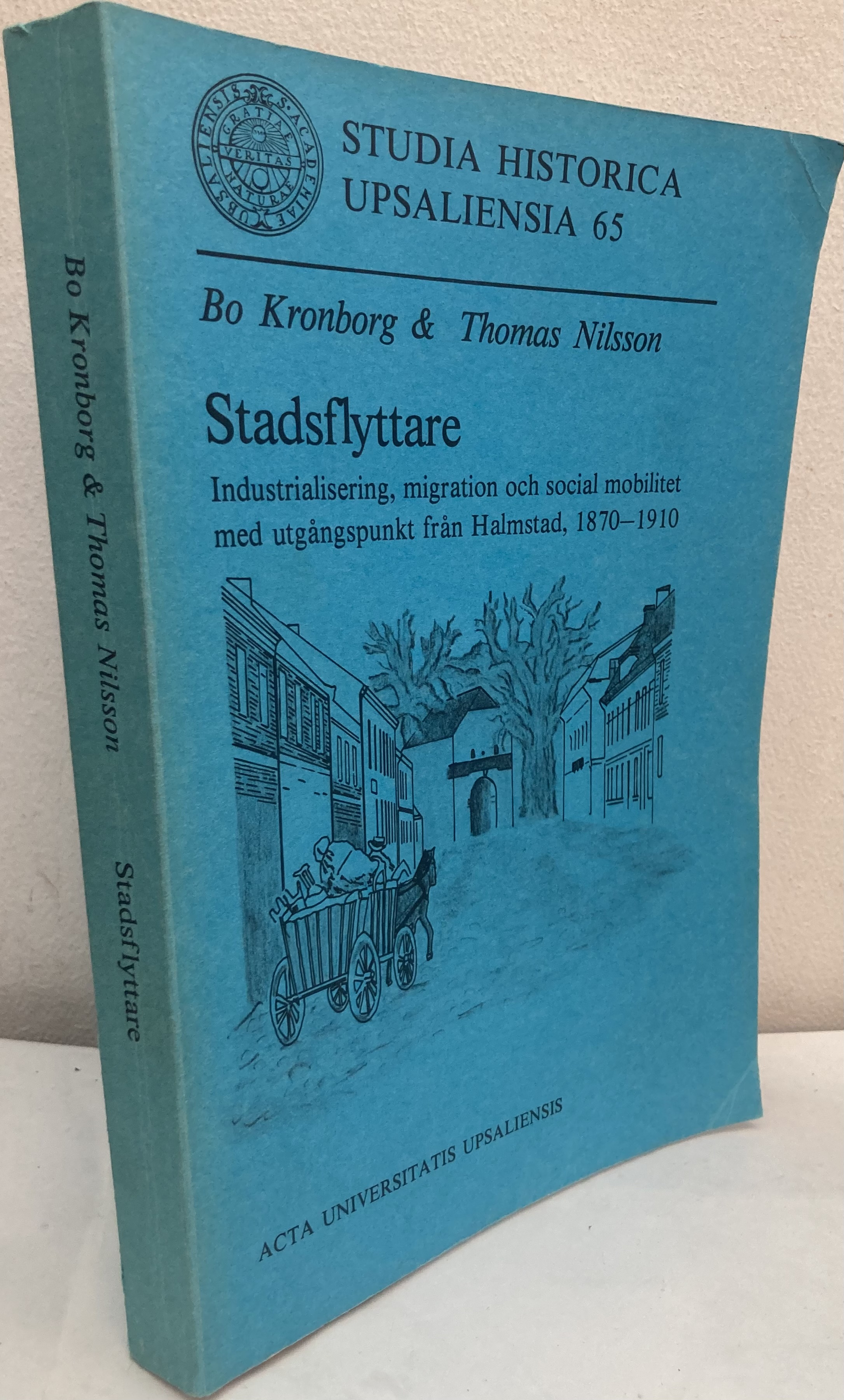 Stadsflyttare. Industrialisering, migration och social mobilitet med utgångspunkt från Halmstad, 1870-1910