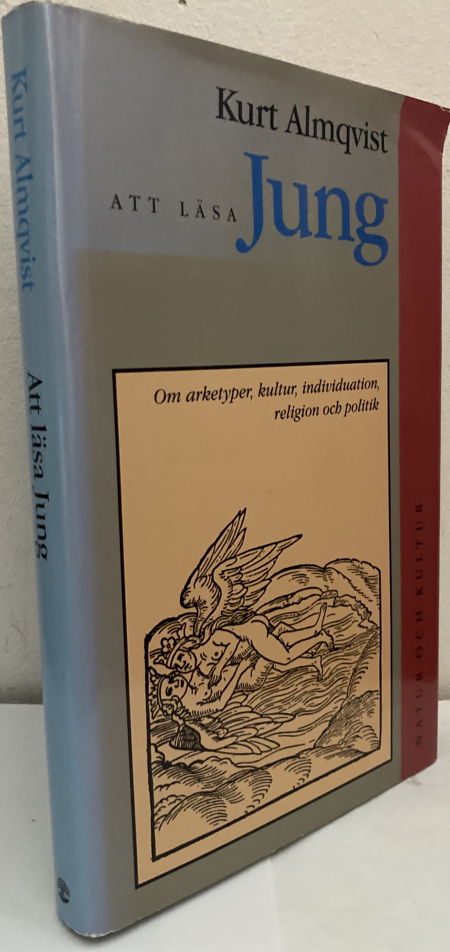 Att läsa Jung. Om arketyper, kultur, individuation, religion och politik