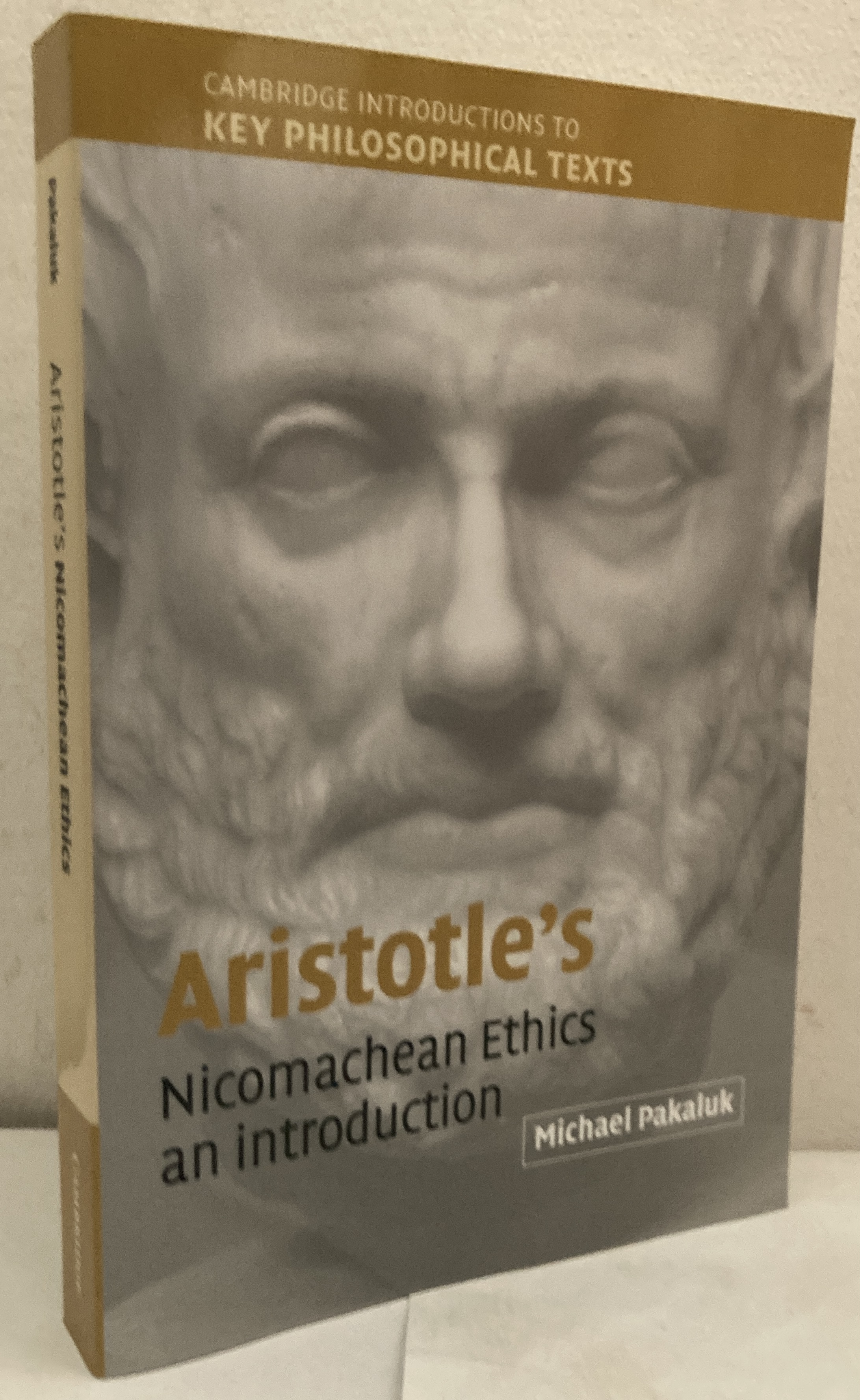 Aristotle's Nicomachean Ethics. An Introduction